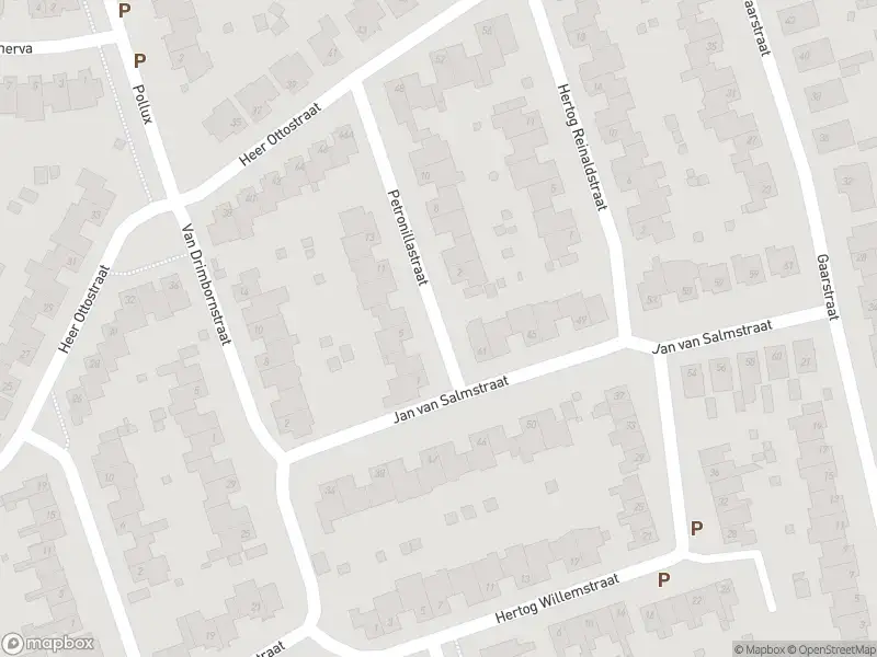 Overlastmelding Petronillastraat in Born