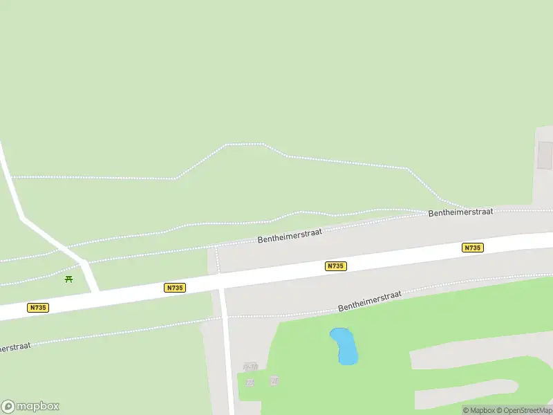 Politie naar de Bentheimerstraat in De Lutte vanwege aanrijding met letsel