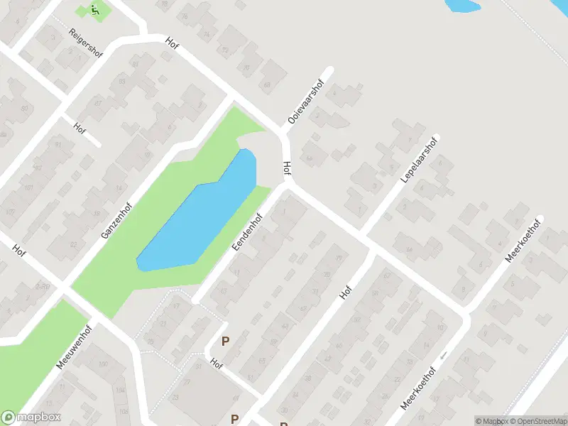 Brandweer en politie met grote spoed naar de Eendenhof in Dongen vanwege waarnemen gaslucht