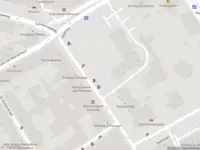 Ambulance met gepaste spoed naar de Boslaan in 's-Gravenhage