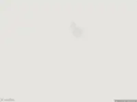 Brandweer met normale urgentie naar de Middelkampseweg in Gameren vanwege dier(en) in nood