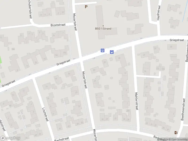 Overlastmelding Griegstraat in Elst
