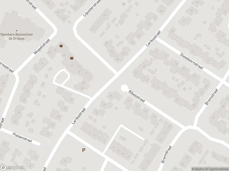 Overlastmelding Lariksstraat in Echt