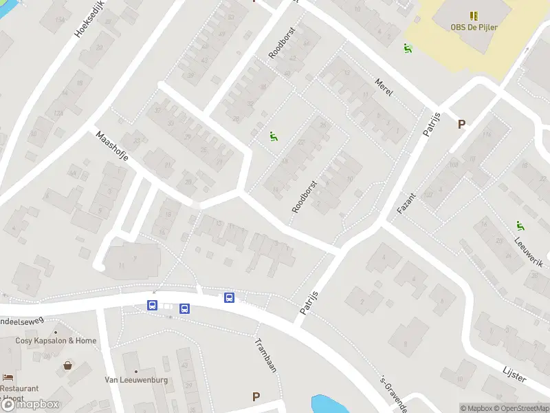 112 melding Overlastmelding Roodborst in Maasdam