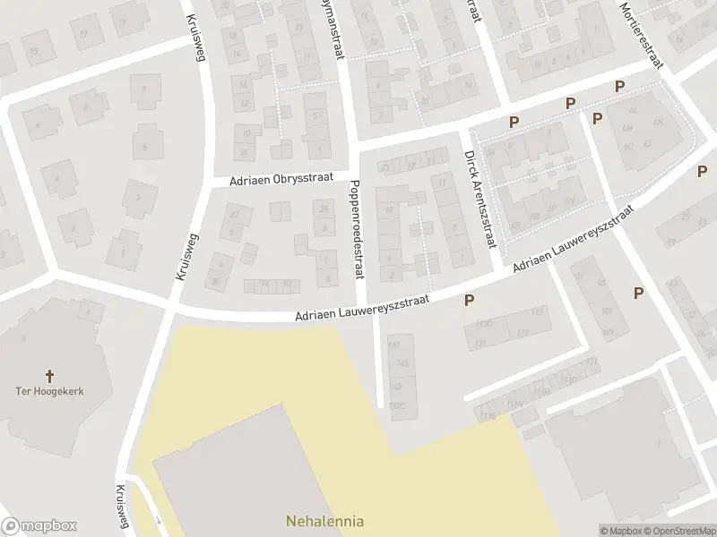 Brandweer met gepaste spoed naar de Poppenroedestraat in Middelburg vanwege stormschade