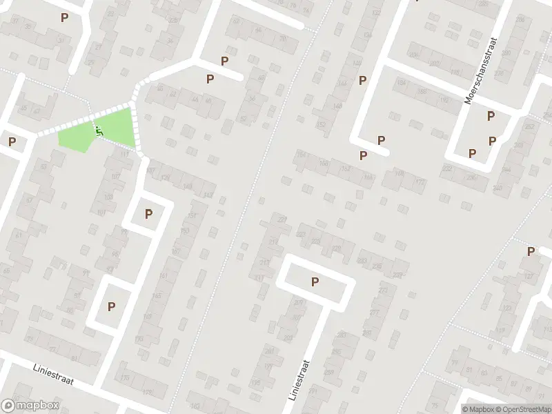 Brandweer met gepaste spoed naar de Liniestraat in Hulst