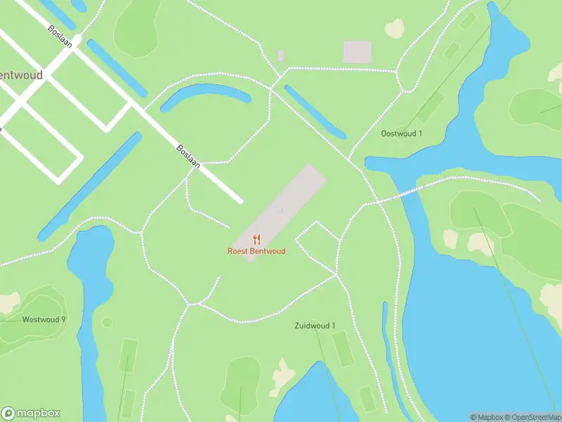 Brandweer met gepaste spoed naar de Boslaan in Benthuizen vanwege wateroverlast