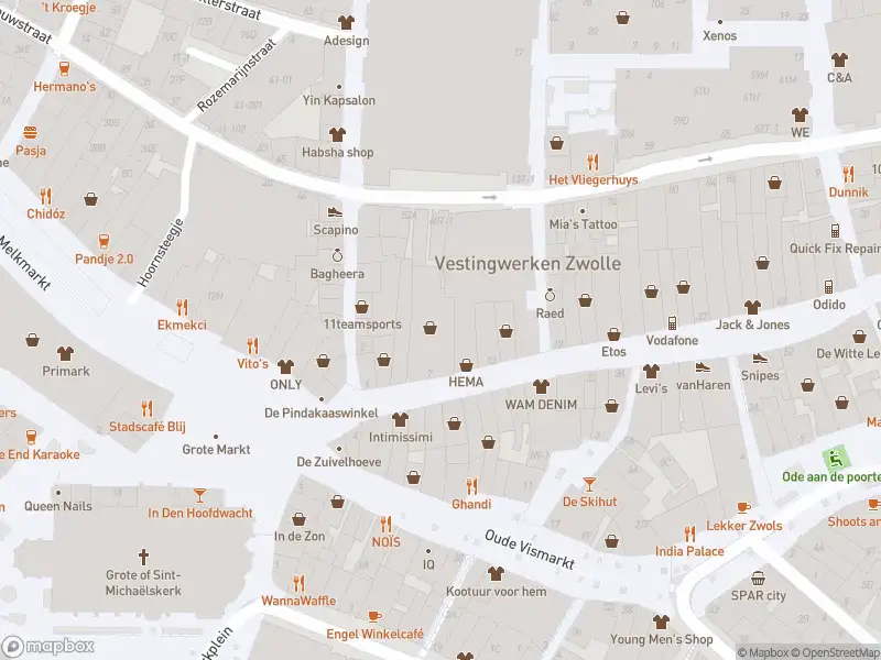 Brandweer met gepaste spoed naar de Diezerstraat in Zwolle