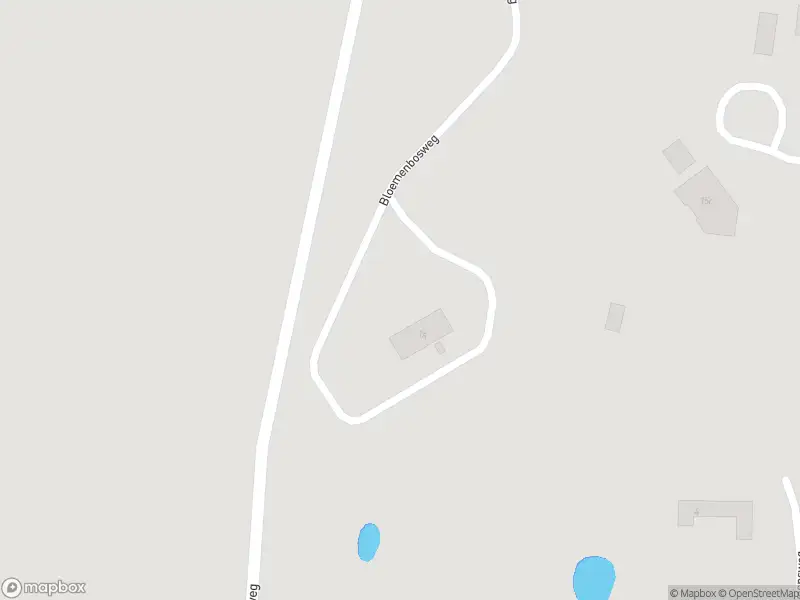 Brandweer met gepaste spoed naar de Oude Twentseweg in Luttenberg vanwege stormschade