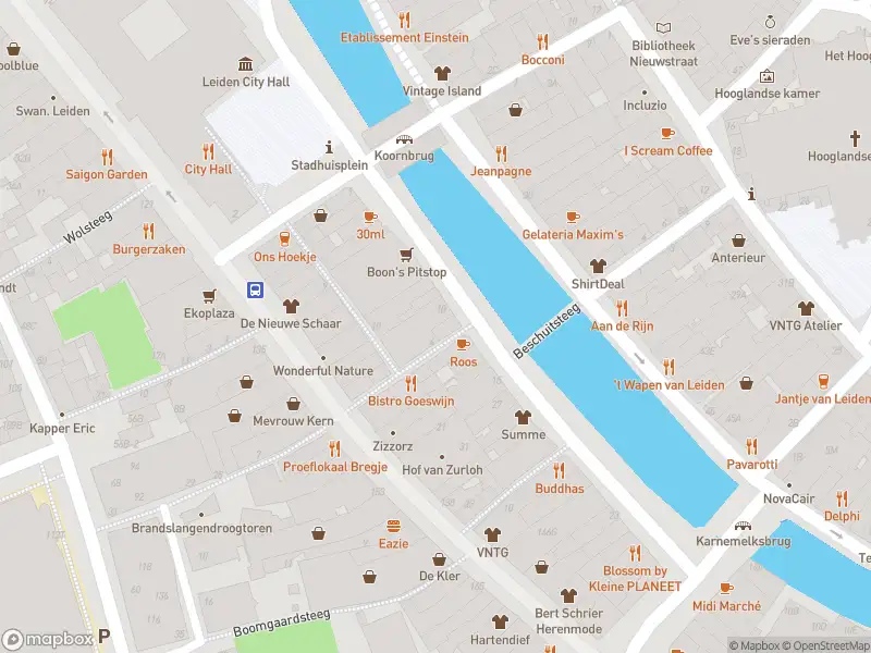 Brandweer met gepaste spoed naar de Korevaarstraat in Leiden vanwege stormschade