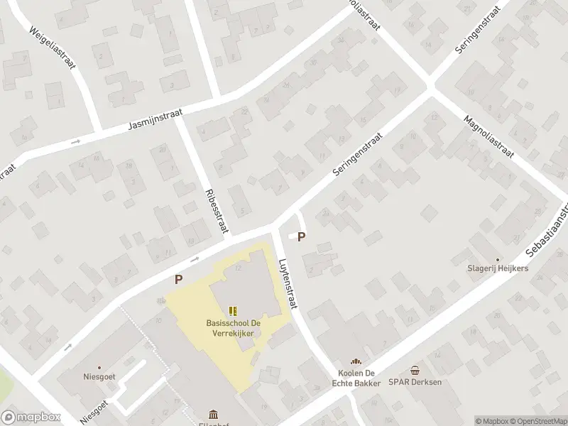 Ambulance met grote spoed naar de Seringenstraat in Ell