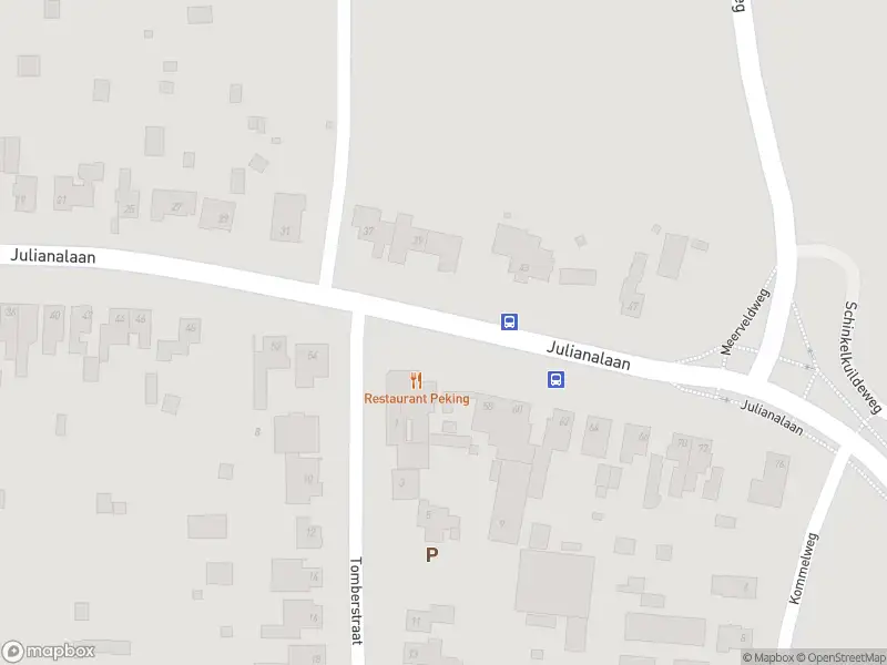 Overlastmelding Julianalaan in 6124AH Papenhoven