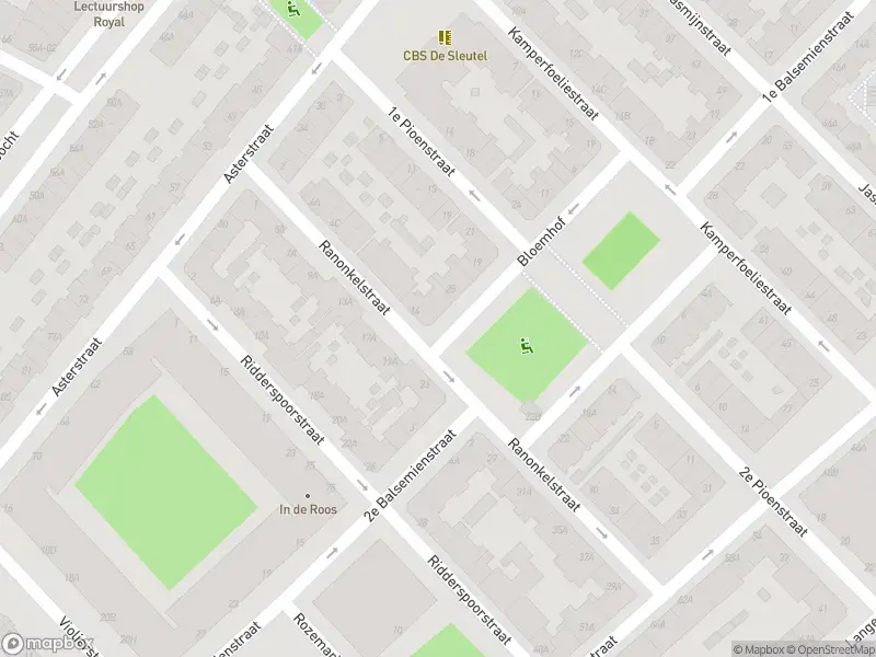 Ambulance met gepaste spoed naar de Ranonkelstraat in Rotterdam