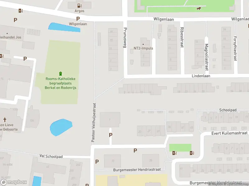 Ambulance met gepaste spoed naar de Lindenlaan in Berkel en Rodenrijs