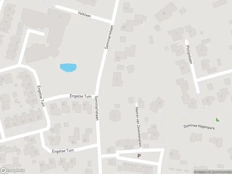 Overlastmelding Seminarielaan in Sint-Michielsgestel