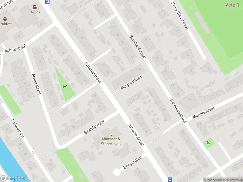Ambulance met gepaste spoed naar de Julianastraat in Strijen