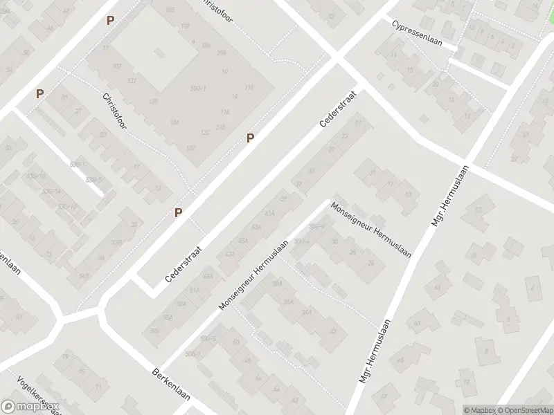 Overlastmelding Cypressenlaan in Sint-Michielsgestel