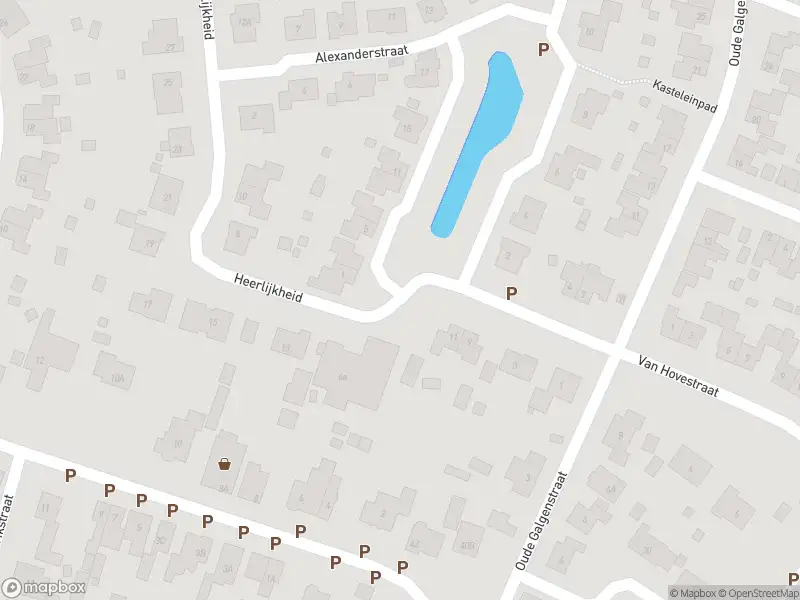 Brandweer met grote spoed naar de Heerlijkheid in Sint Jansteen vanwege gebouwbrand