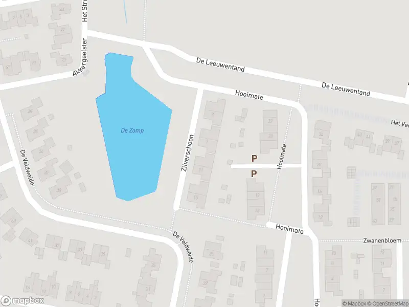 Overlastmelding Zilverschoon in Brummen