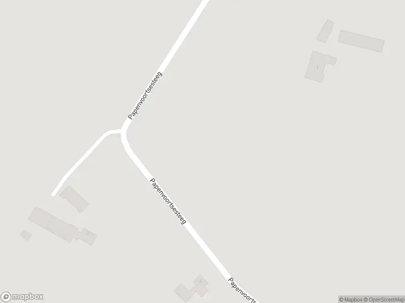 Brandweer met gepaste spoed naar de Papenvoortsesteeg in Rijkevoort-De Walsert