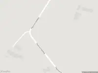 Brandweer met gepaste spoed naar de Papenvoortsesteeg in Rijkevoort-De Walsert