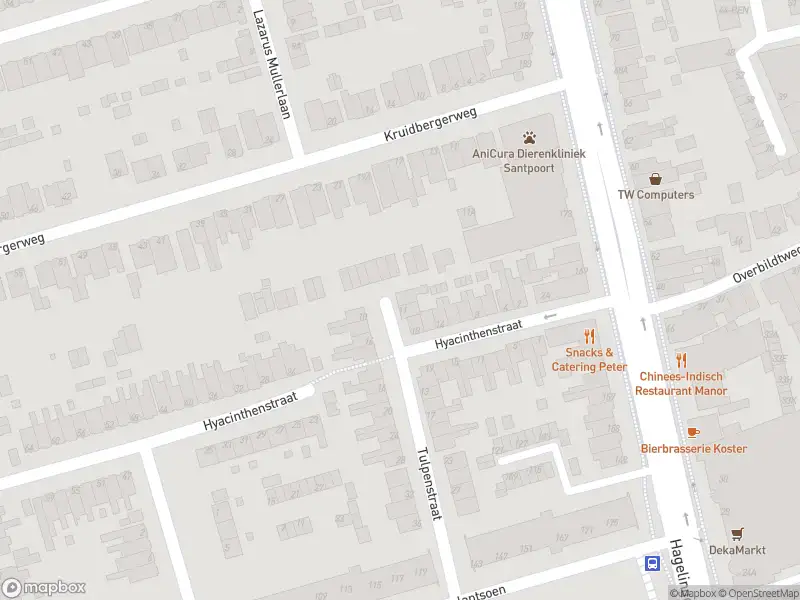 Anonieme overlastmelding Tulpenstraat in Santpoort-Noord