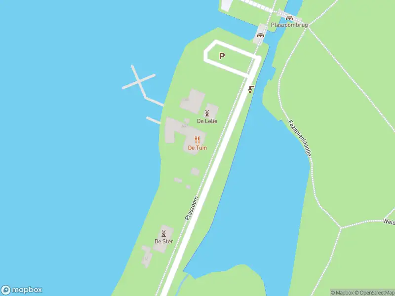 Brandweer met gepaste spoed naar de Plaszoom in Rotterdam vanwege stormschade