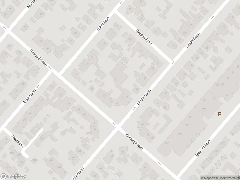 Ambulance met gepaste spoed naar de Sparrenlaan in Zwanenburg