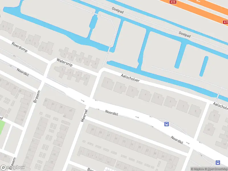 Ambulance met grote spoed naar de Aalscholver in Papendrecht