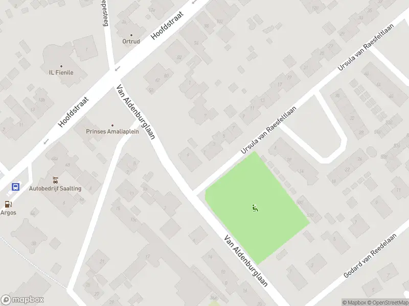 Overlastmelding Ursula van Raesfeltlaan in De Steeg