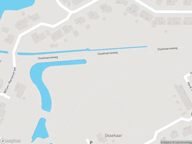 Brandweer met gepaste spoed naar de Berend Slingenbergstraat in Coevorden