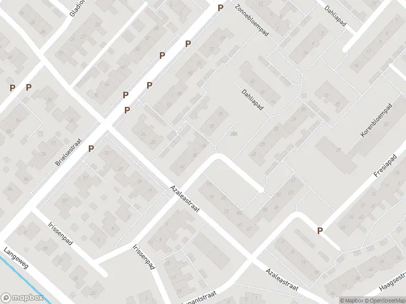 Brandweer met grote spoed naar de Azaleastraat in Stellendam vanwege stankoverlast