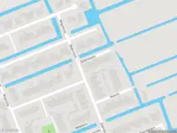 Overlastmelding Dotterbloem in Kockengen