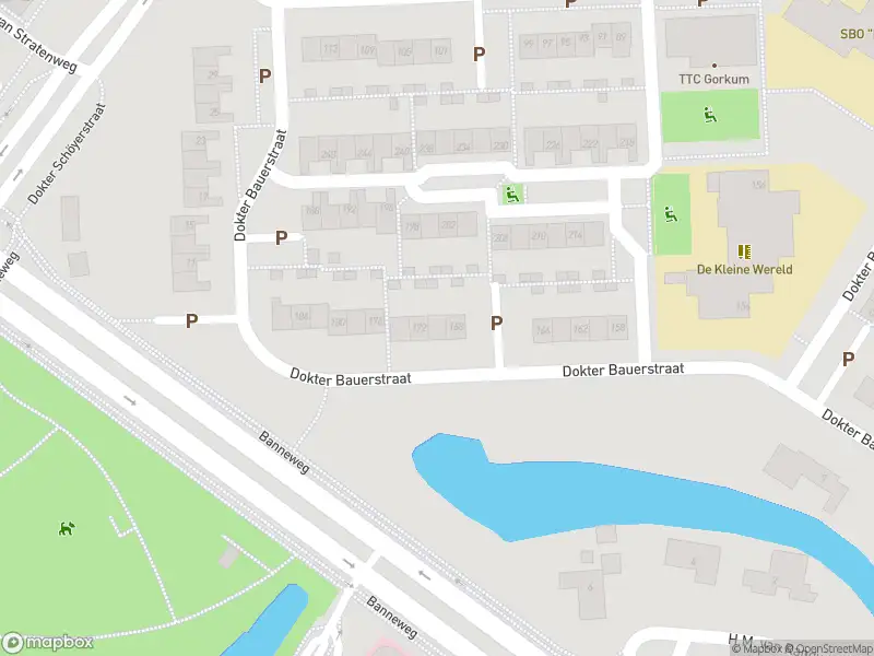 Ambulance met gepaste spoed naar de Dokter Bauerstraat in Gorinchem