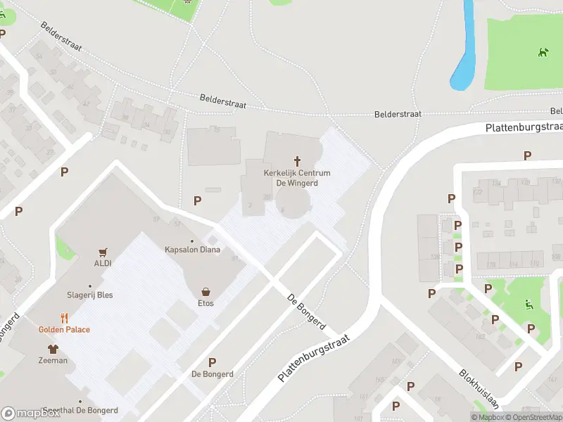 Overlastmelding met urgentie De Bongerd in Doetinchem gesloten