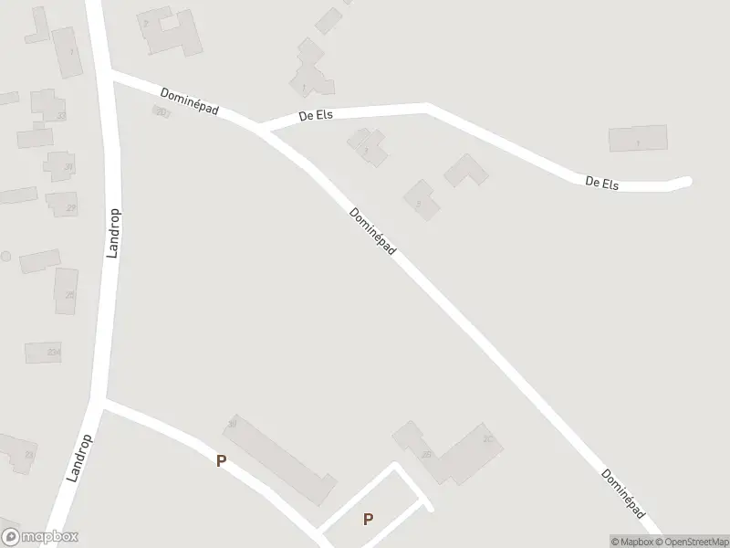 Brandweer met gepaste spoed naar de Dominépad in Hoogeloon