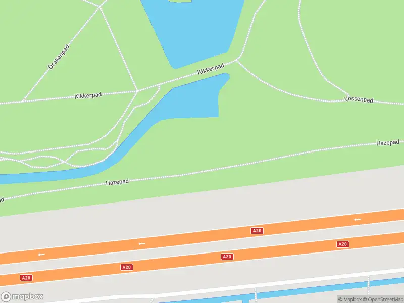 Brandweer naar de 's-Gravelandseweg in Schiedam