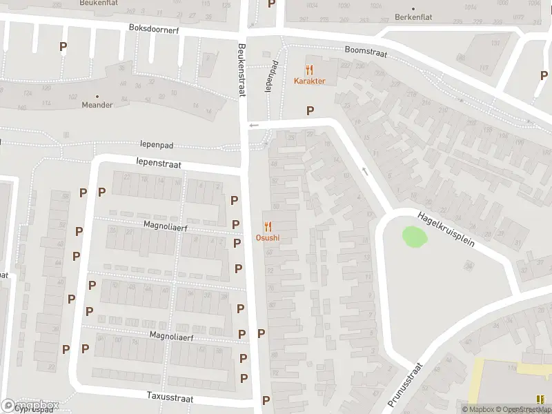 Overlastmelding Beukenstraat in Tilburg gesloten