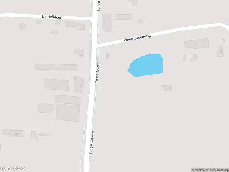 Brandweer met gepaste spoed naar de Tongerloseweg in Diessen