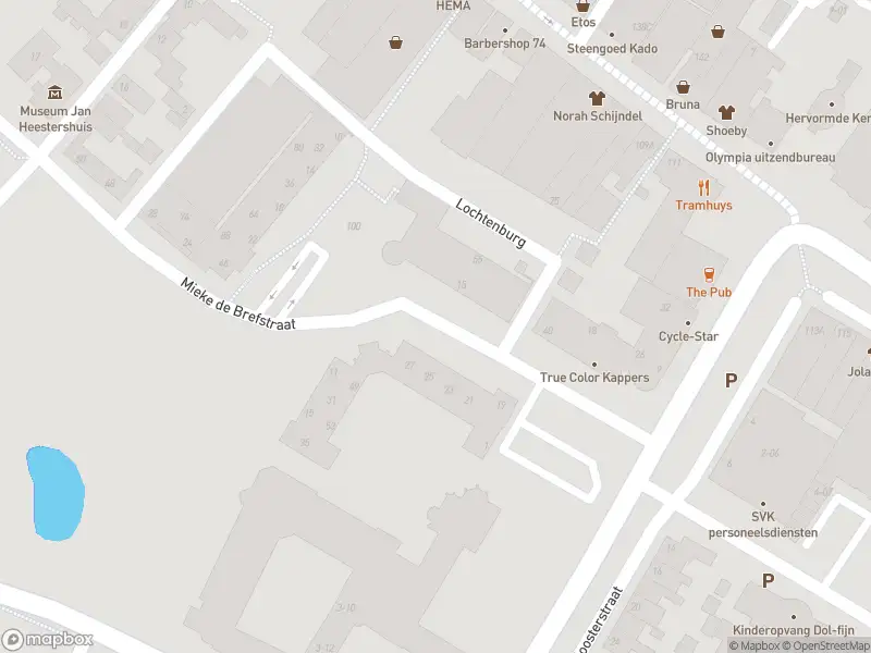 Brandweer met gepaste spoed naar de Mieke de Brefstraat in Schijndel