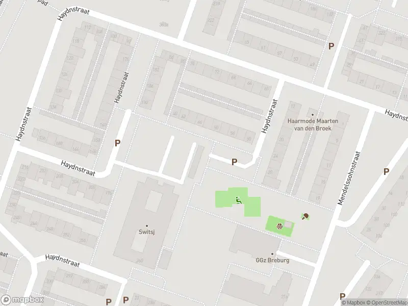 Overlastmelding Haydnstraat in Tilburg gesloten