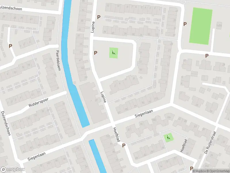 Overlastmelding Lupine in Rijnsburg