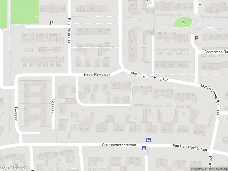 Overlastmelding Martin Luther Kinglaan in Goirle gesloten