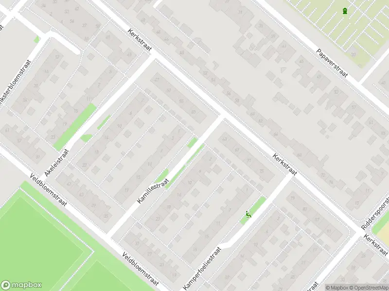 Ambulance met gepaste spoed naar de Kamillestraat in Nieuw-Vennep