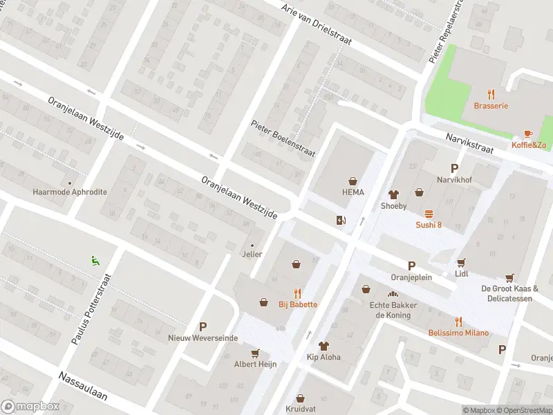 Overlastmelding Oranjelaan Westzijde in Puttershoek