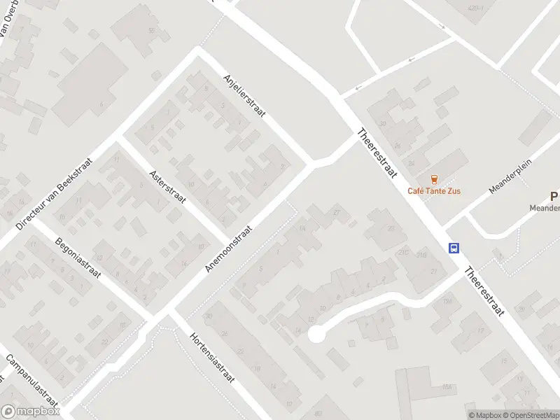 Overlastmelding Anemoonstraat in Sint-Michielsgestel