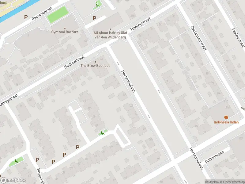 Overlastmelding Hortensialaan in Aalsmeer gesloten