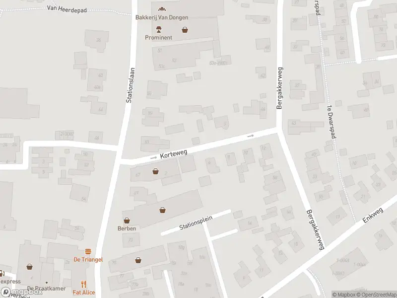 Brandweer met gepaste spoed naar de Korteweg in Nunspeet vanwege afhijsen patient