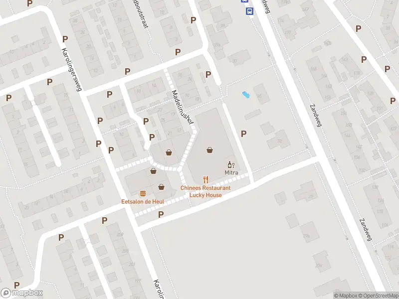 Brandweer met gepaste spoed naar de Molenvliet in Wijk bij Duurstede