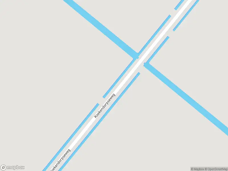 Politie naar de Koekendorpseweg in Zuidland vanwege ongeval met letsel